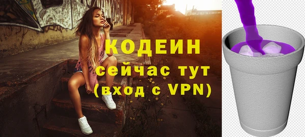 трава Няндома