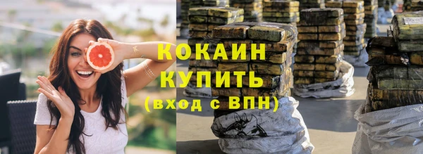 трава Няндома