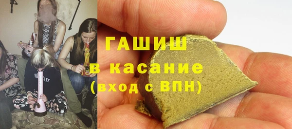 трава Няндома