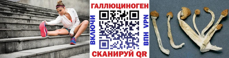 хочу   Усть-Кут  Галлюциногенные грибы Magic Shrooms 