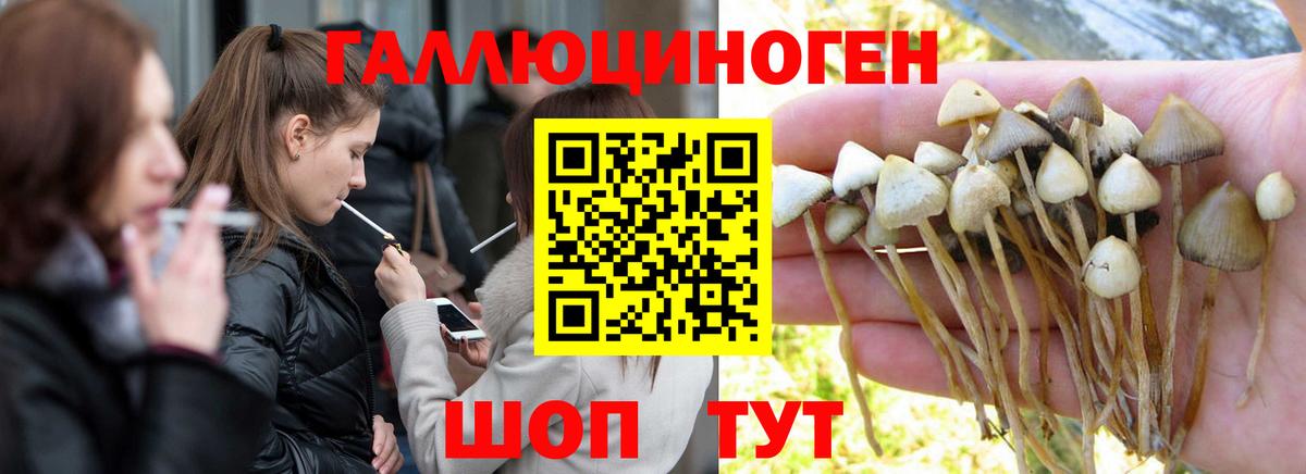 Усть-Кут  закладка  Вход с VPN  Псилоцибиновые грибы мухоморы 