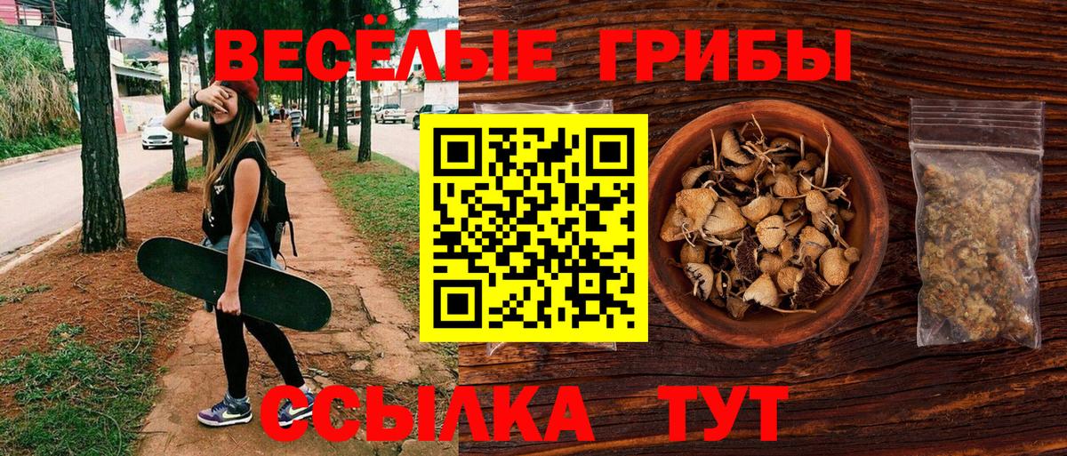Галлюциногенные грибы Psilocybe Усть-Кут